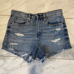 Blank NYC The Barrow Denim Cutoff Shorts